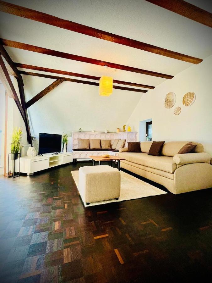 Chris & Aris Ferienwohnung Waldshut Zentrum Dış mekan fotoğraf