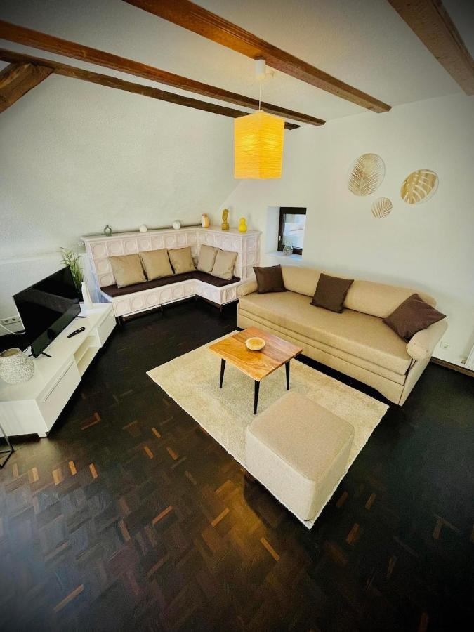 Chris & Aris Ferienwohnung Waldshut Zentrum Dış mekan fotoğraf